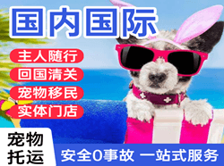 温州航空运输国际宠物托运 【国